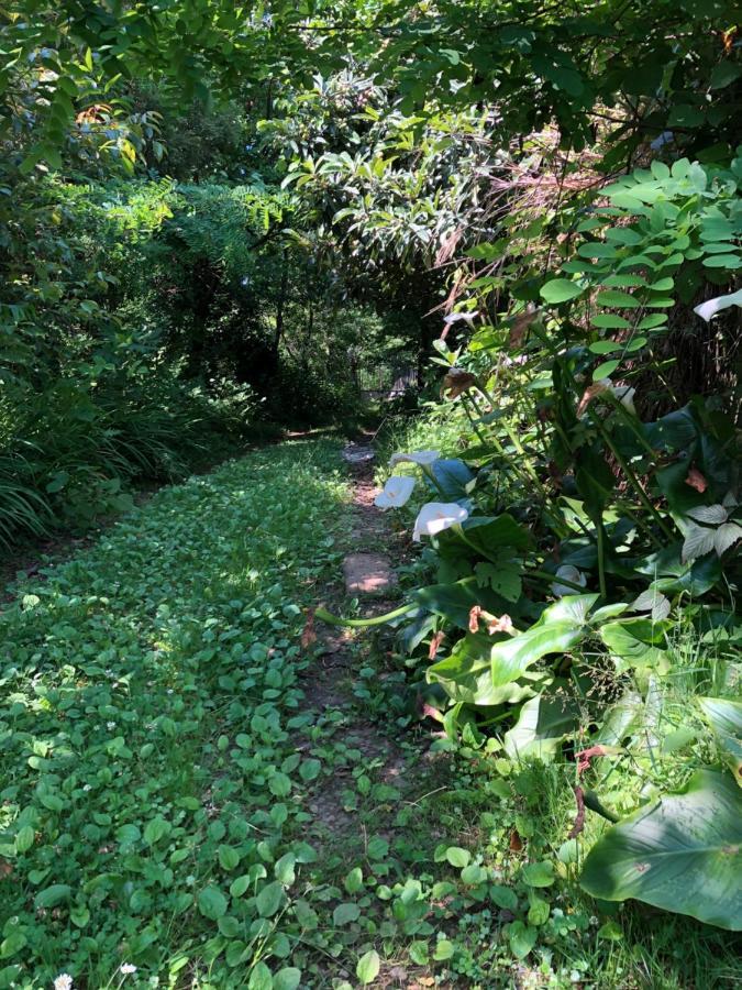 Hébergement de vacances Eco