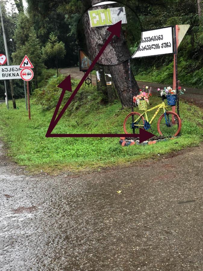 Eco * Chakvi