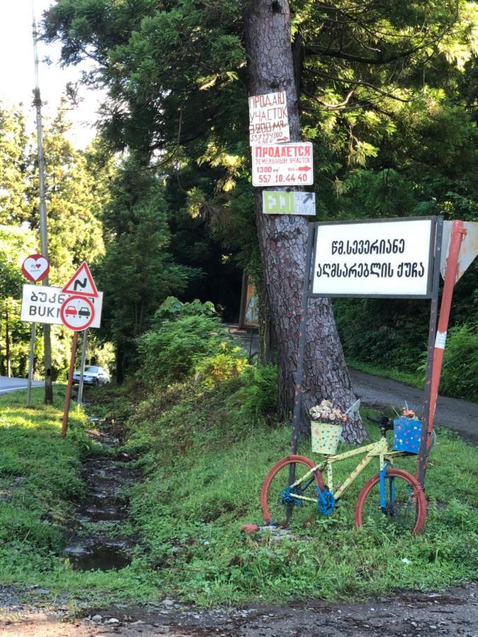 Eco Hébergement de vacances