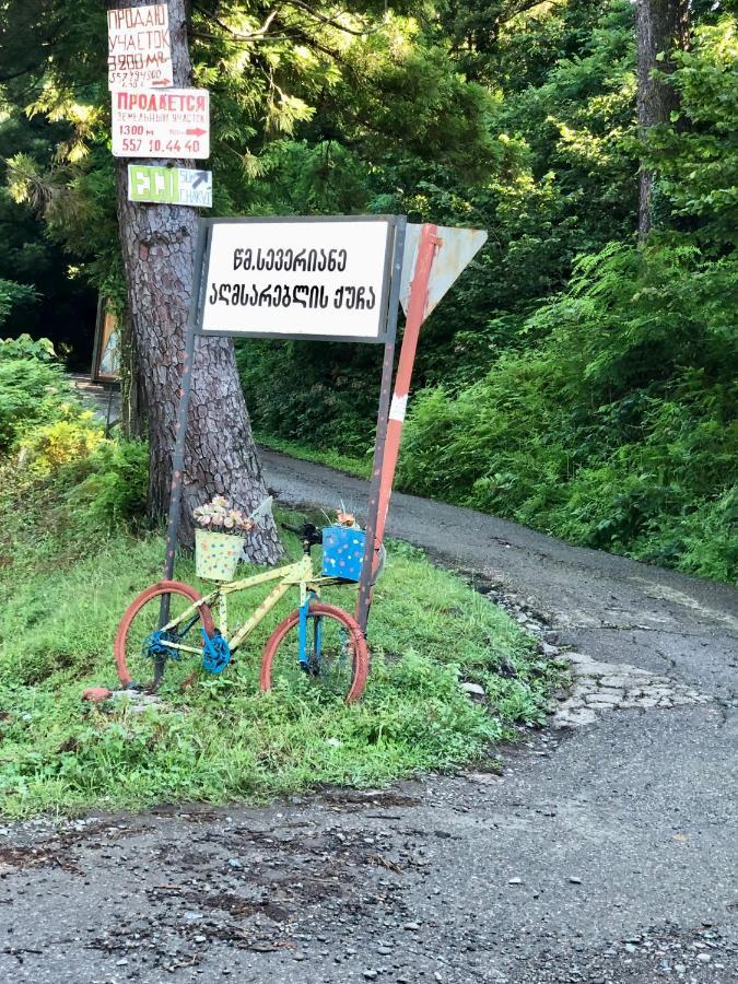 Eco Hébergement de vacances Chakvi