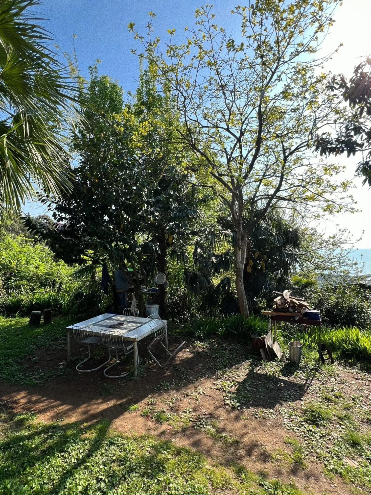 Eco Hébergement de vacances Chakvi