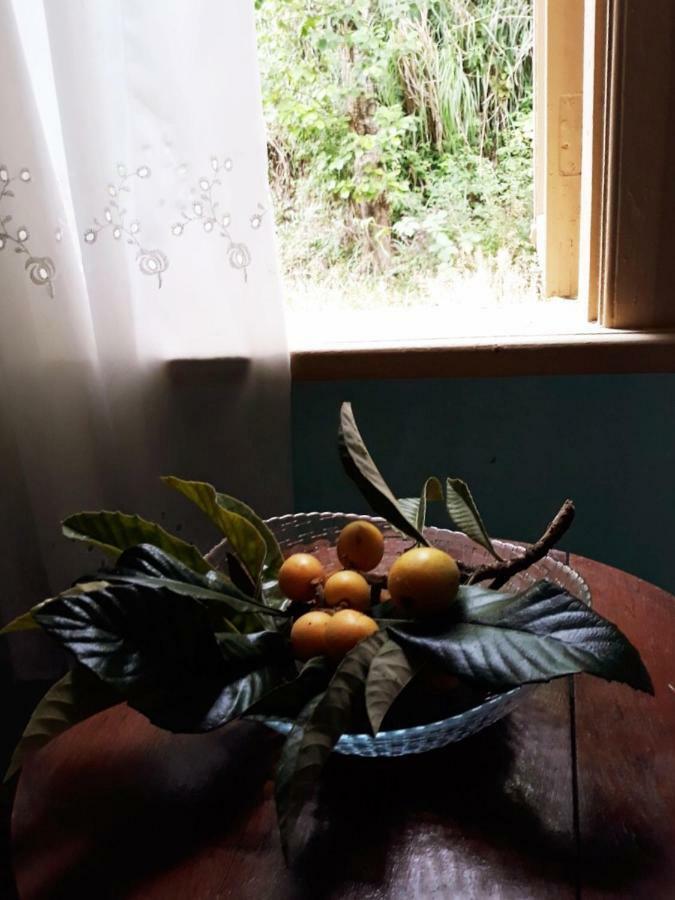 Hébergement de vacances Eco
